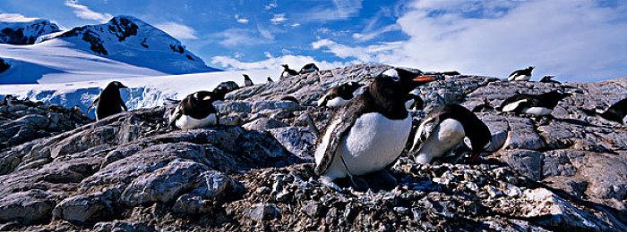 Fami通新一周销量榜 《斯普拉遁3》登顶