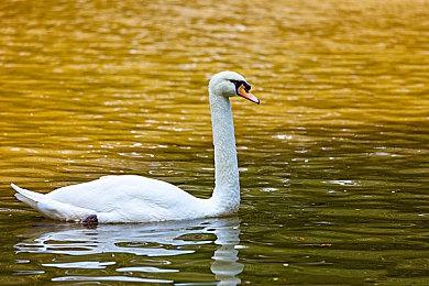 《永劫无间》国服不删档测试明日开服 预下载今日开启