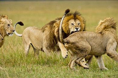 《纪元1800》主机版上线 全平台免费游玩活动开始