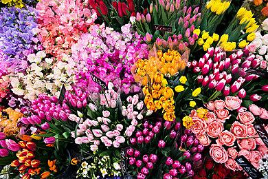 Epic喜加一：《头等舱危机》《骇游侠探》《神圣一击》免费领